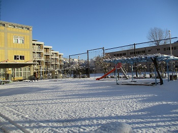 写真:3学期が始まりました2