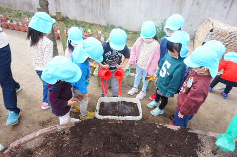 写真:水やりをする子どもたち