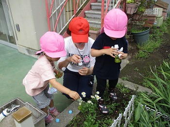 年少花色水