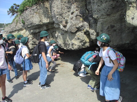 恵比寿島で地層見学の写真