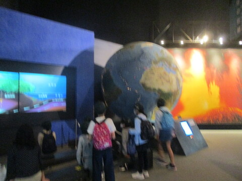 地球博物館を見学する6年生の画像