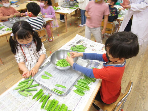 さやむきの様子