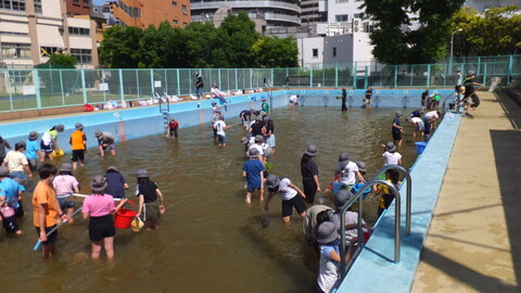 やごとり