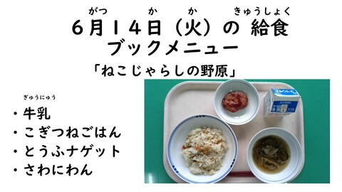 6月14日の給食写真