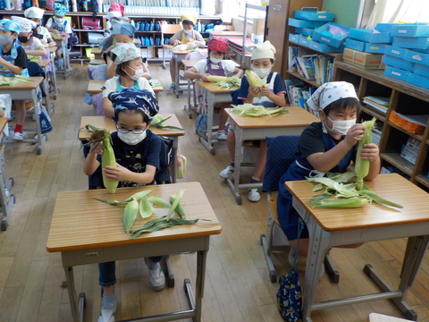 皮をむいている時の写真(1)