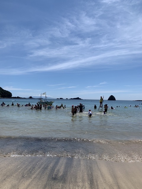 海