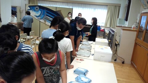 魚を実際に触らせてもらえました。