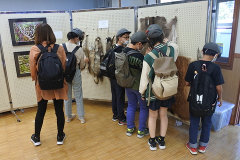 自然ふれあいセンター展示
