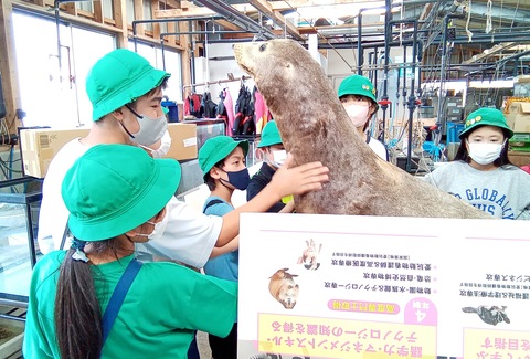 海中水族館