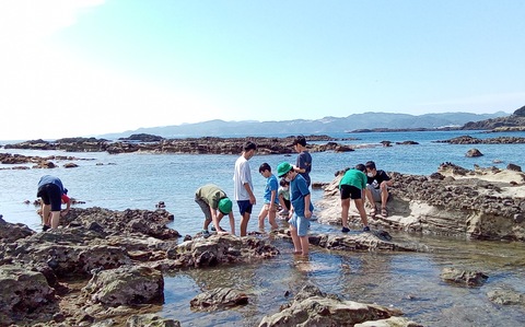 恵比須島