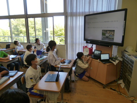 発表