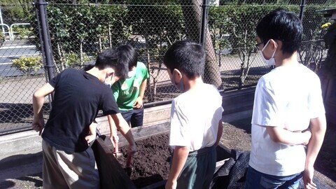 環境学習の一環として、給食の残菜をミミズや微生物の働きによって堆肥にかえる取り組みをしている様子