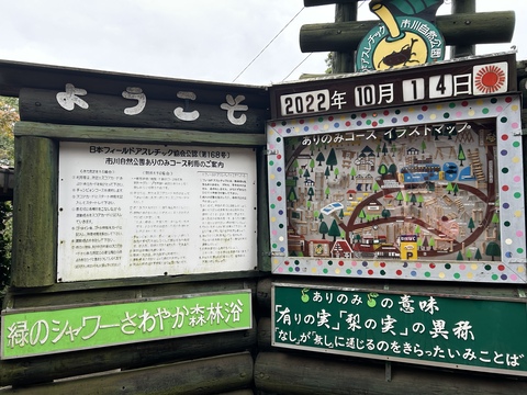 ありのみ