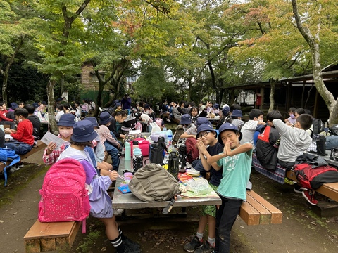 ありのみ