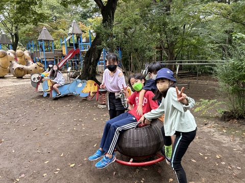 ありのみ