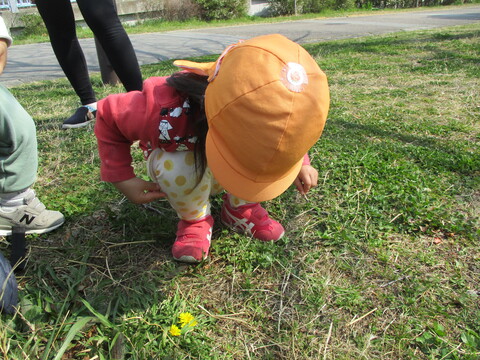 ありを見つけて、しゃがんで見つめる子ども