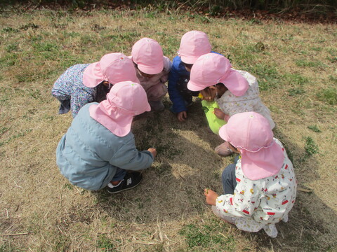 みんなでしゃがんで虫観察