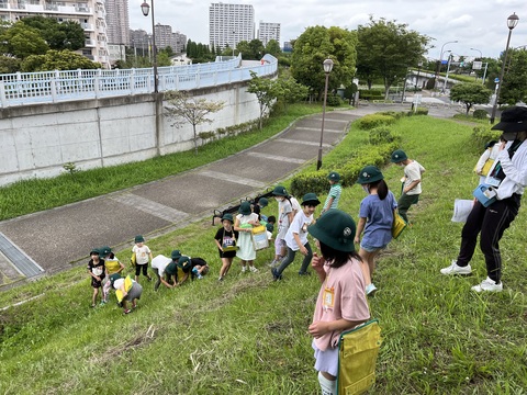 ネイチャーゲーム　虫取り