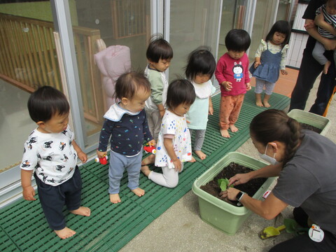 子どもたちが苗を植える様子を見ている。