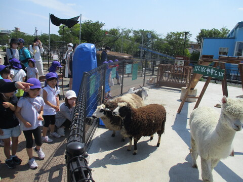 動物ふれあい広場