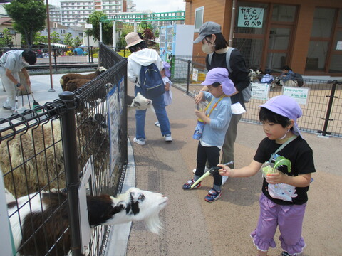 動物ふれあい広場