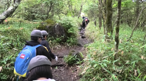 登山道