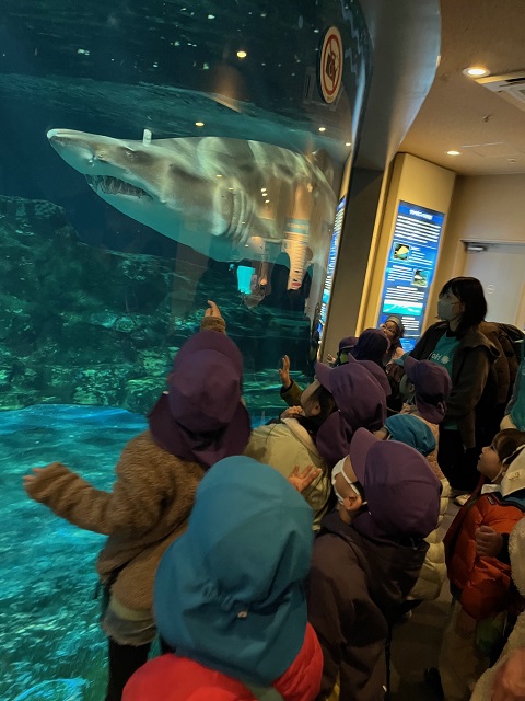 品川水族館見学