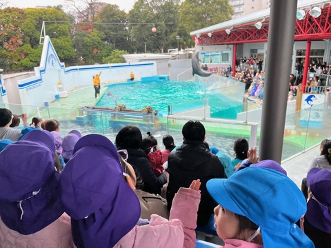 品川水族館見学