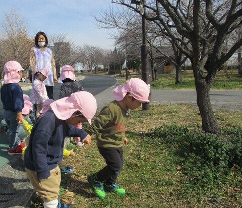 梅を探す子ども達