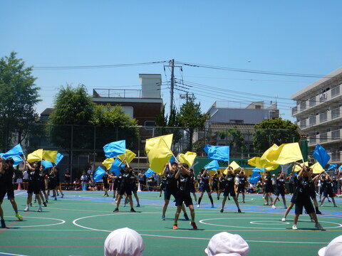6年生