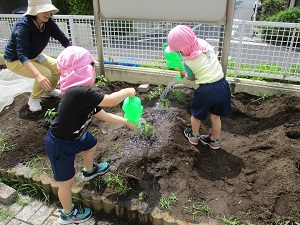水をあげているところ