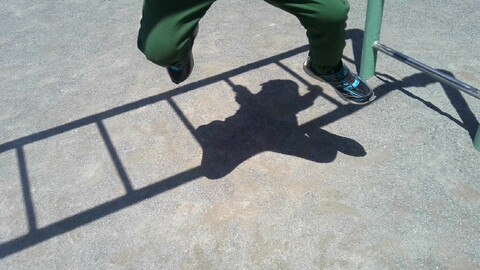 写真1