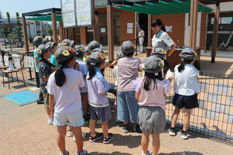 写真1