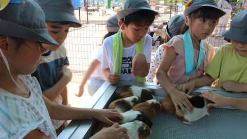 写真4
