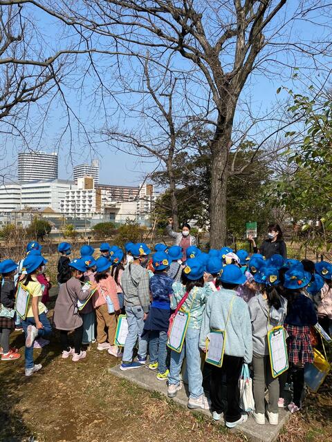1年生春を探しに
