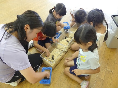 どれにしようか選んでいるところ