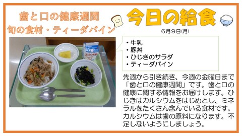 6/9 牛乳、豚丼、ひじきのサラダ、ティーダパイン