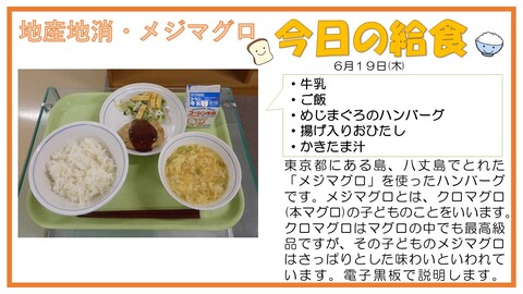 6/19　牛乳、ご飯、めじまぐろのハンバーグ、揚げ入りおひたし、かきたま汁