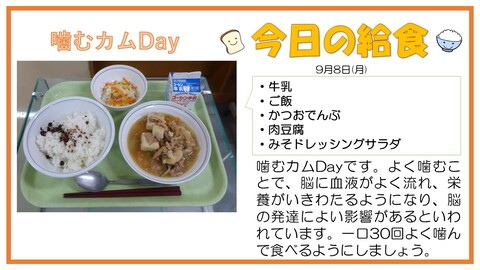 9/8　牛乳、ご飯、かつおでんぶ、肉豆腐、味噌ドレッシングサラダ