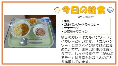 9/24　牛乳、ガルバンゾードライカレー、ツナサラダ、かぼちゃマフィン