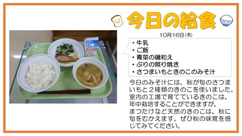 10/16　牛乳、ご飯、ぶりの照り焼き、青菜の磯和え、さつまいもときのこのみそ汁