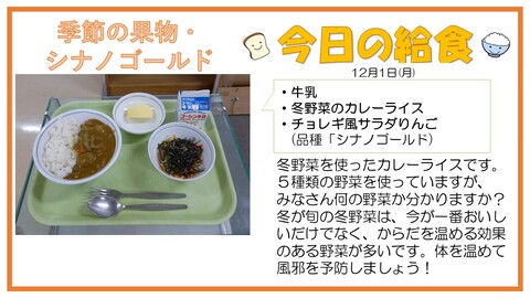 牛乳、冬野菜のカレーライス、チョレギ風サラダ、りんご