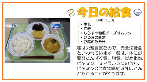3/23　牛乳、ご飯、しらすの和風チーズオムレツ、ひじきの彩煮、豆腐のみそ汁