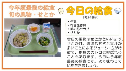 3/24　牛乳、ねぎ塩豚丼、菜の花サラダ、せとか