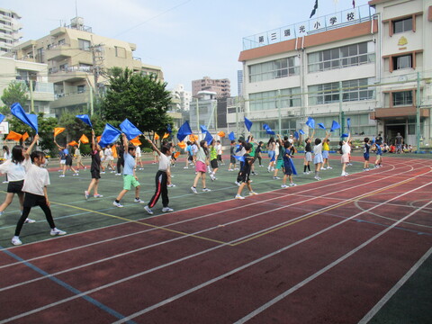 8flag3