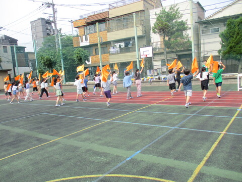 8flag4