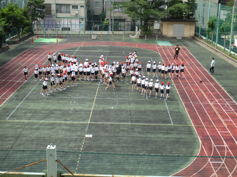 8hare1