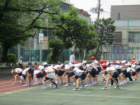 8so3