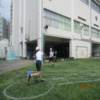 6年