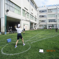 6年